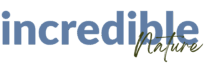 IncredibleNature